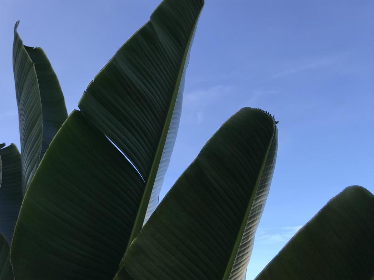 Encanto Das Flores Praia de Pipa Exteriör bild